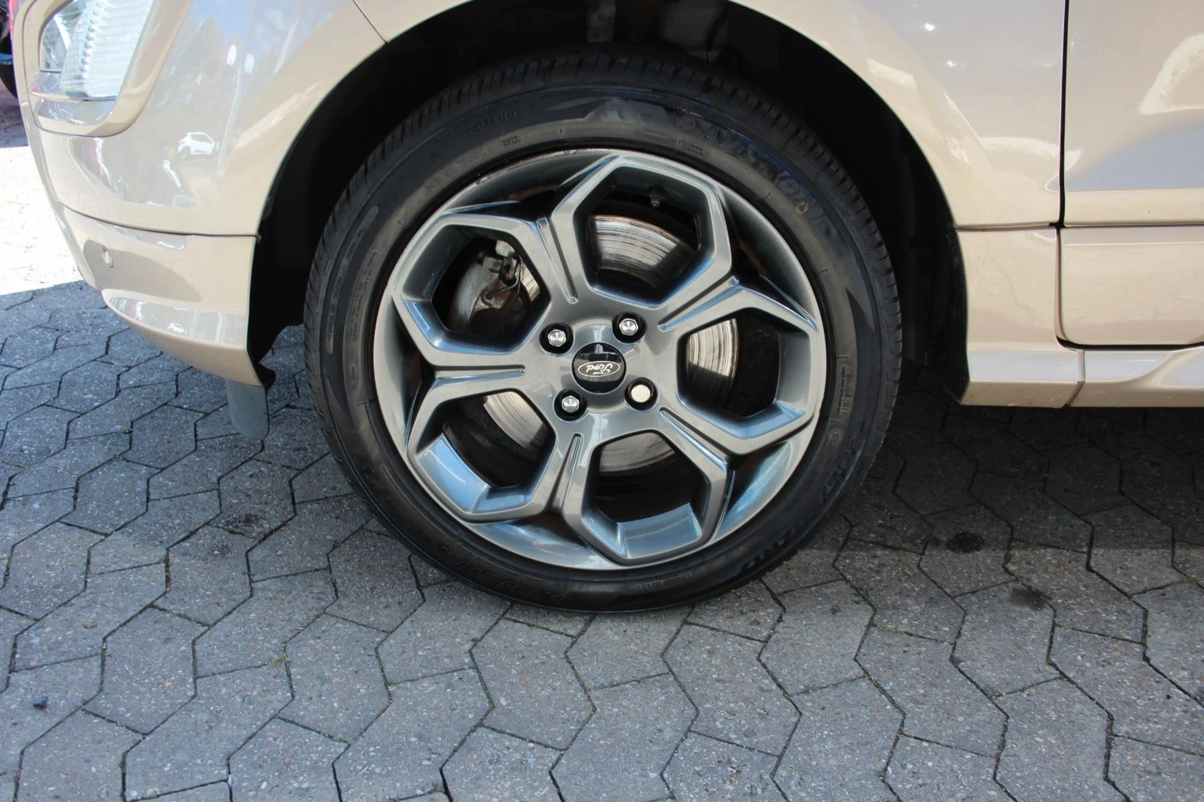 Ford EcoSport ST-Line — photo 8