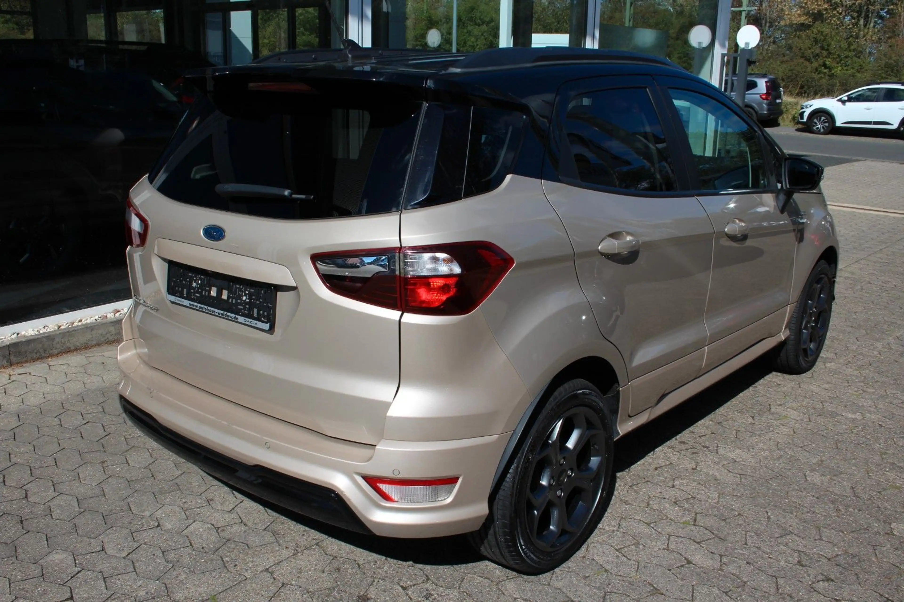 Ford EcoSport ST-Line — photo 3
