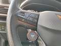 CUPRA Formentor 2.0 TSI 4D VZ Tribe Edition DSG *PANO* Schwarz - thumbnail 16