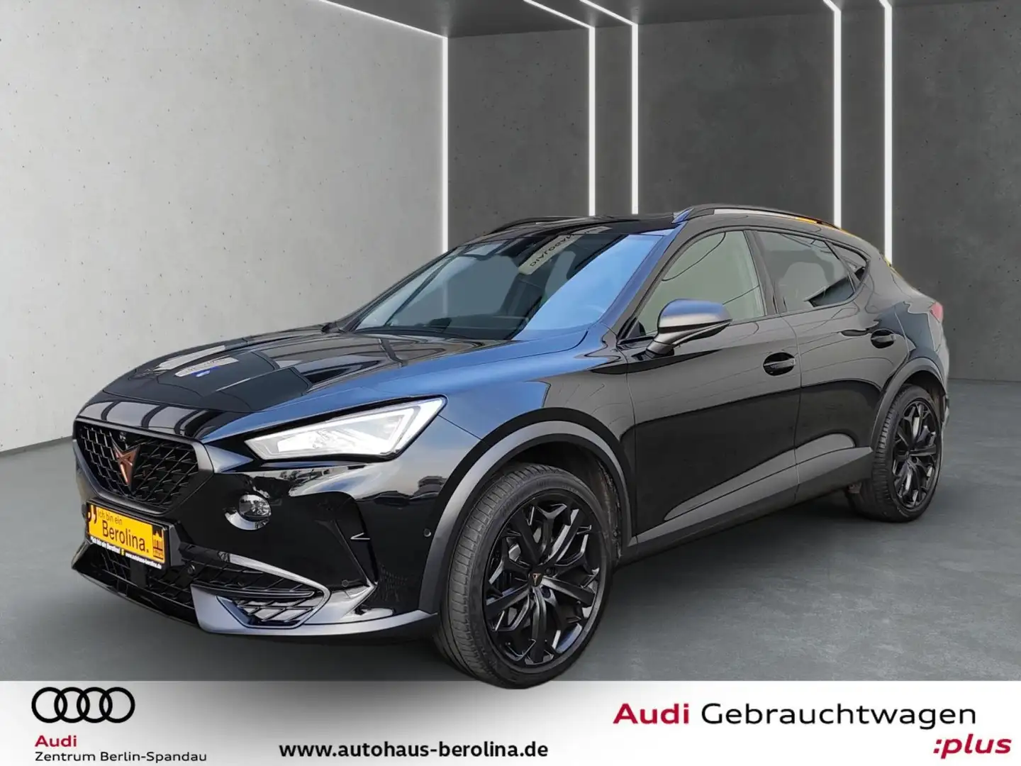 CUPRA Formentor 2.0 TSI 4D VZ Tribe Edition DSG *PANO* Schwarz - 2