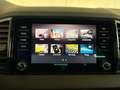 Skoda Karoq 4x4 SPORTLINE TDI DSG Grau - thumbnail 16