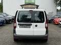 Volkswagen Caddy Cargo*Sitzheizung*Parkhilfe*8-fach bereift Weiß - thumbnail 6