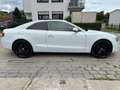 Audi A5 2.0 T Coupe Quattro * Automatik * Leder *Navi Weiß - thumbnail 17