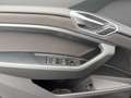 Audi e-tron 50 quattro 230 kW AHK NAVI RFK TOUR Noir - thumbnail 14