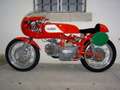 Aermacchi Ala d´Oro 250 gp Permuto  con moto d epoca Czerwony - thumbnail 1