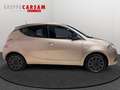 Lancia Ypsilon Ypsilon 1.2 69 CV 5 porte Gold Bronzo - thumbnail 6