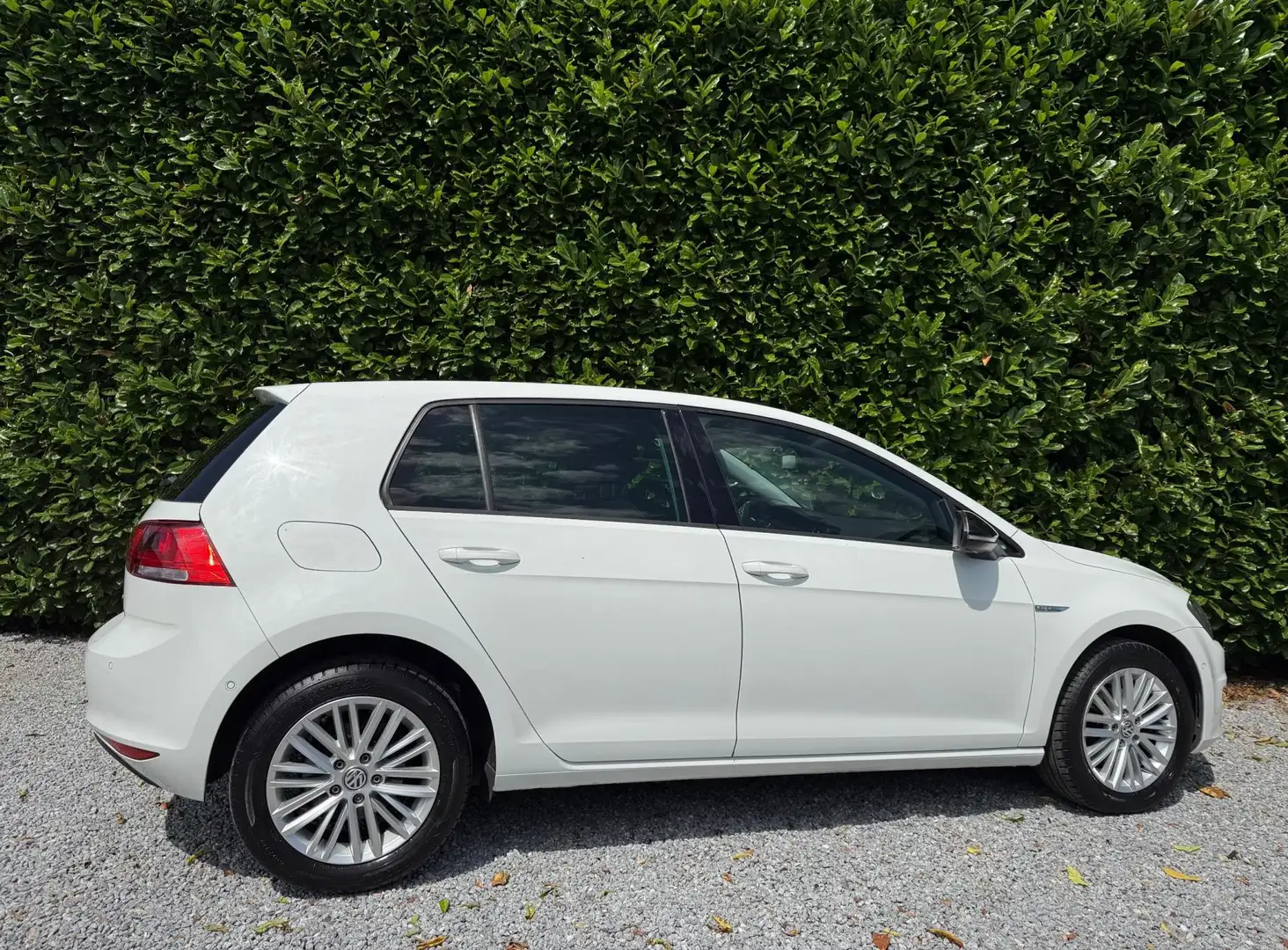 Volkswagen Golf 1.2 TSI CUP Edition|AIRCO|CRUISE|STOELVE|PDC Wit - 2