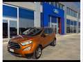 Ford EcoSport 1.5 tdci titanium s&s 100cv Grijs - thumbnail 1
