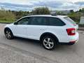 Skoda Octavia *Scout*DSG* 4x4 *2.0 TDI* 135kW* Biały - thumbnail 8