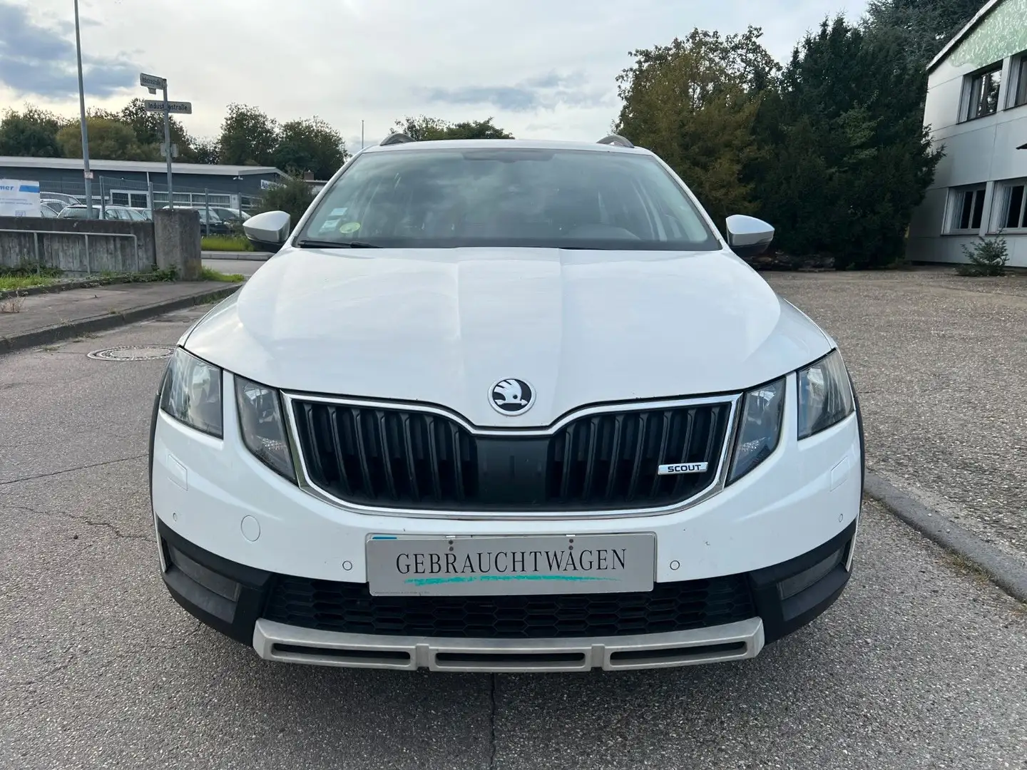 Skoda Octavia *Scout*DSG* 4x4 *2.0 TDI* 135kW* Biały - 2
