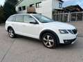 Skoda Octavia *Scout*DSG* 4x4 *2.0 TDI* 135kW* Biały - thumbnail 1