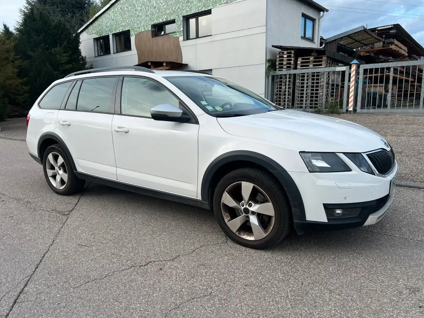 Skoda Octavia *Scout*DSG* 4x4 *2.0 TDI* 135kW* Biały - 1