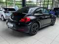 Volkswagen Beetle Lim. Cup AUTOMATIK*Panorama*uvm. Schwarz - thumbnail 5