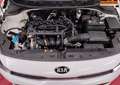 Kia Rio 1.2i*Sièges chauff*Capteurs AR*224 € x 48m* Weiß - thumbnail 10