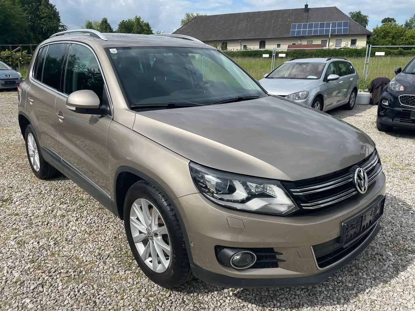 Volkswagen Tiguan Sport+pickerl 11/2026+4monat+panoramadach Beige - 1