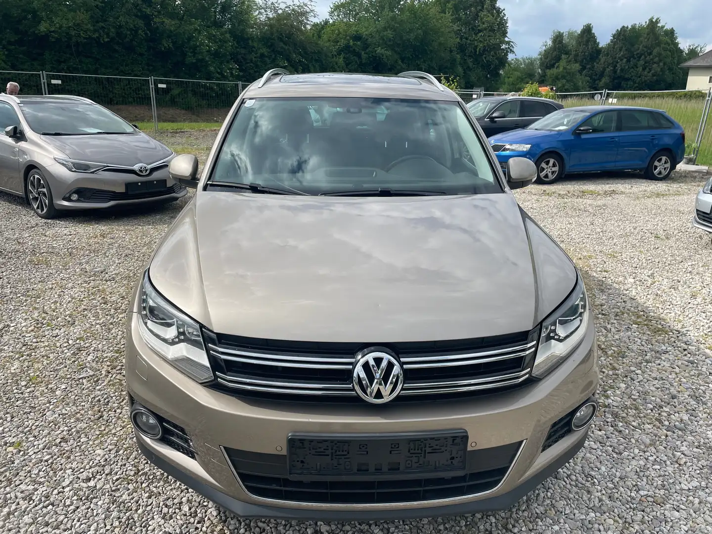 Volkswagen Tiguan Sport+pickerl 11/2026+4monat+panoramadach Beige - 2