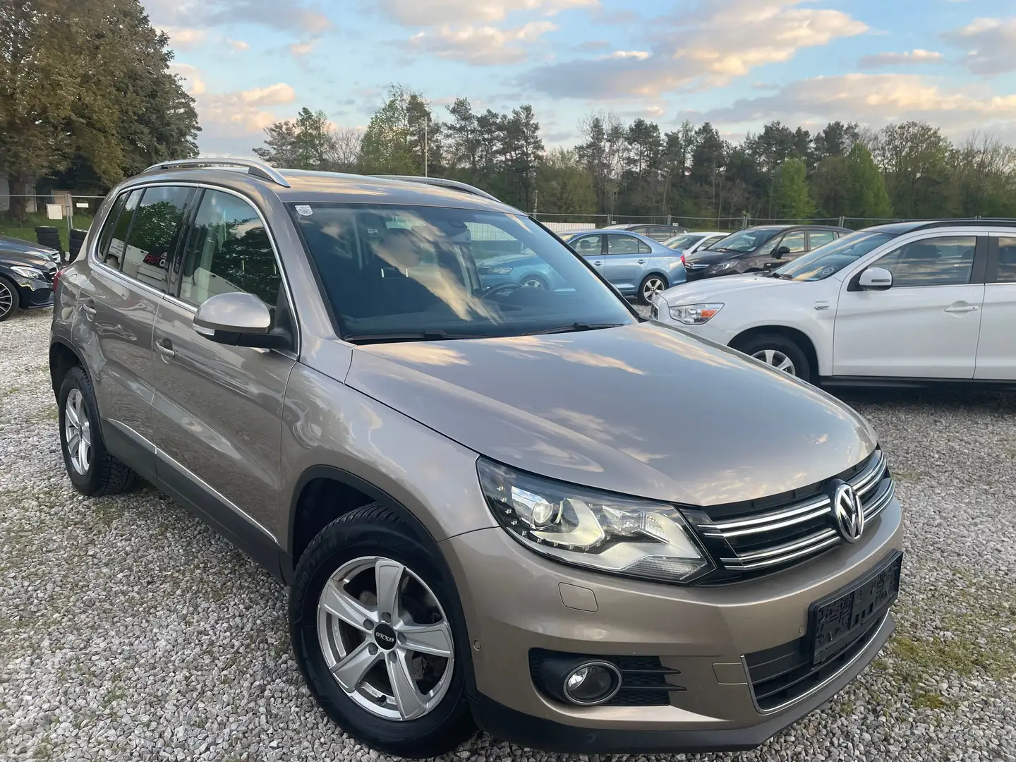 Volkswagen Tiguan Sport+pickerl 11/2026+4monat+panoramadach Beige - 1