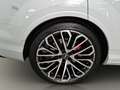 Audi SQ7 SUV TFSI 373(507) kW(PS) tiptronic Blanco - thumbnail 21