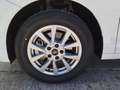 Ford Tourneo Connect 1.5 Ecoboost SWB L1 Titanium Blanco - thumbnail 13