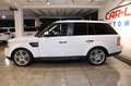 Land Rover Range Rover Sport V6 TD HSE *Navi*AHK 3,5t*RFK* Weiß - thumbnail 6