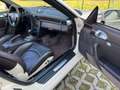 Porsche 997 3.8 TURBO 500Cv*Cabriolet*Tiptronic*Bose*Navi*Euro Bianco - thumbnail 11