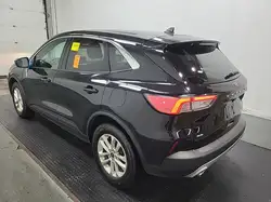 Ford Escape снимка Ford Escape