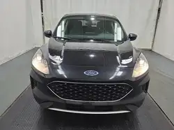 Ford Escape снимка Ford Escape