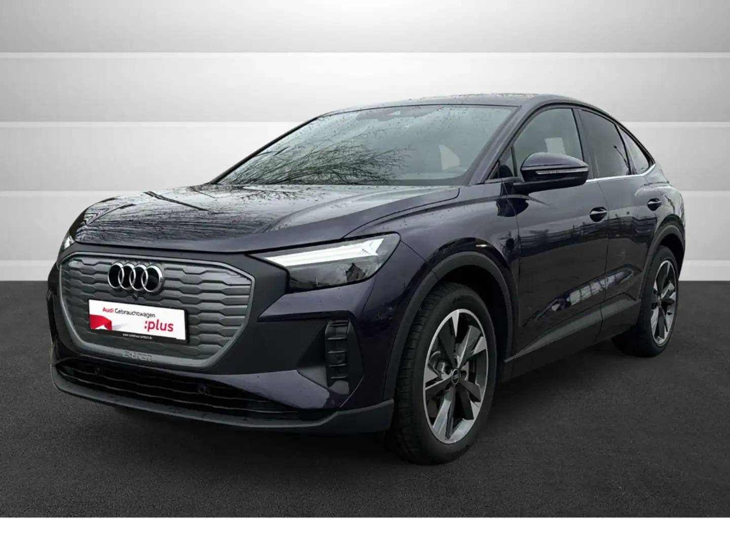 Audi Q4 e-tron 45 Sportback 77 kW LED AHK NAVI PDC GRA Paars - 2