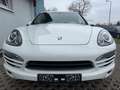 Porsche Cayenne Xenon,Carplay,Navi ,21 Zoll Rad Blanco - thumbnail 5