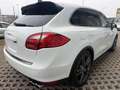 Porsche Cayenne Xenon,Carplay,Navi ,21 Zoll Rad Blanco - thumbnail 8
