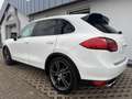 Porsche Cayenne Xenon,Carplay,Navi ,21 Zoll Rad Blanco - thumbnail 10