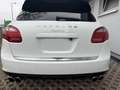 Porsche Cayenne Xenon,Carplay,Navi ,21 Zoll Rad Blanco - thumbnail 11