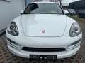 Porsche Cayenne Xenon,Carplay,Navi ,21 Zoll Rad Blanco - thumbnail 6