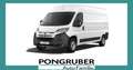 Citroen Jumper Kastenwagen 35+ L3H2 140 EAT8 Weiß - thumbnail 2