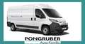 Citroen Jumper Kastenwagen 35+ L3H2 140 EAT8 Weiß - thumbnail 1