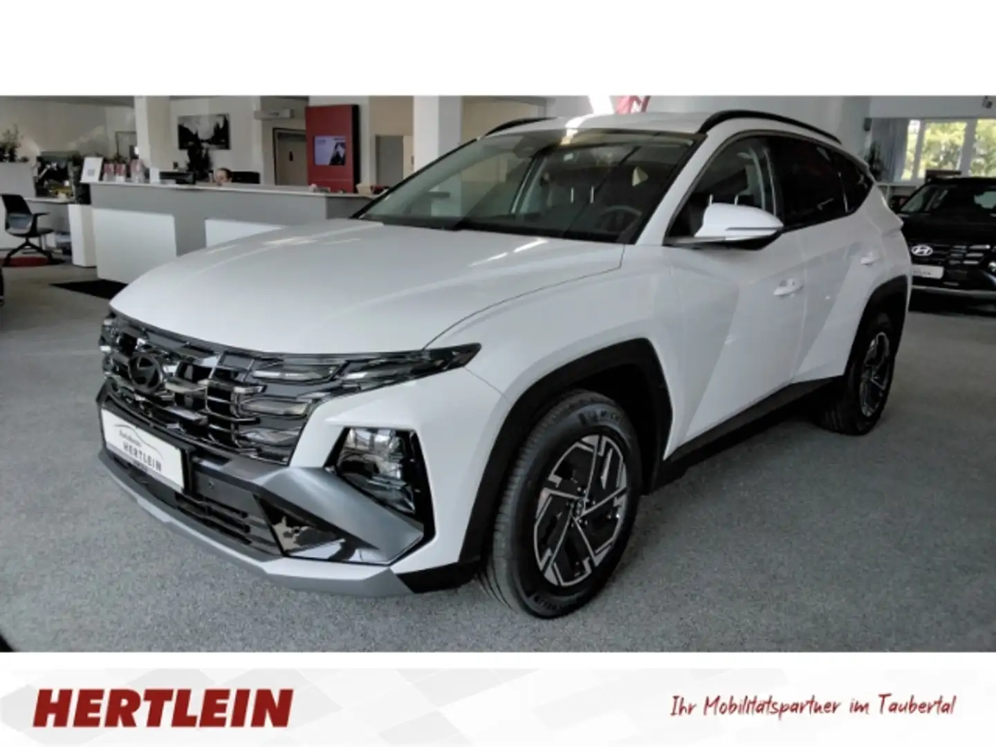 Hyundai TUCSON Select Mild-Hybrid 2WD 1.6 T-GDI ACC Navi Kamera Weiß - 1