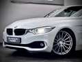 BMW 430 d CABRIO*LA CHANTI*KW GEWINDE*HEAD-UP* Weiß - thumbnail 2
