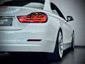 BMW 430 d CABRIO*LA CHANTI*KW GEWINDE*HEAD-UP* Weiß - thumbnail 12