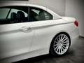 BMW 430 d CABRIO*LA CHANTI*KW GEWINDE*HEAD-UP* Weiß - thumbnail 6