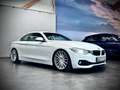 BMW 430 d CABRIO*LA CHANTI*KW GEWINDE*HEAD-UP* Weiß - thumbnail 4