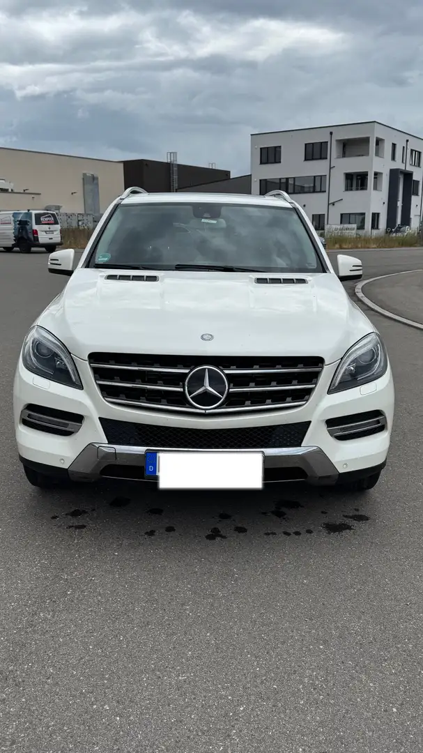 Mercedes-Benz ML 350 BlueTEC 4MATIC 7G-TRONIC - 1
