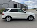 Mercedes-Benz ML 350 BlueTEC 4MATIC 7G-TRONIC - thumbnail 5