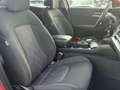 Kia Sportage 1.6 T-GDi HEV 171kW (230CV) Drive 4x2 Rojo - thumbnail 16