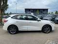 Ford Kuga 2.0 Aut. ST-LINE *AHK *ACC *CAM *HUD *LED Weiß - thumbnail 14