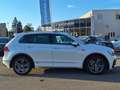 Volkswagen Tiguan 2,0 TDI SCR 4Motion Highline DSG *AHK* Weiß - thumbnail 6