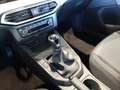 SEAT Ibiza Road Edition *AS Aktion 159,-Eur* Gris - thumbnail 13