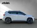 CUPRA Ateca 1.5 TSI-DSG- -PANO-BEATS-AHK-VORB. Weiß - thumbnail 8