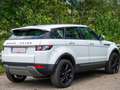 Land Rover Range Rover Evoque Range Rover Evoque Pure 2,2 TD4 Aut. Pure Weiß - thumbnail 4