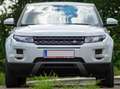 Land Rover Range Rover Evoque Range Rover Evoque Pure 2,2 TD4 Aut. Pure Weiß - thumbnail 2