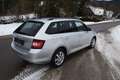 Skoda Fabia Ambition KOMBI pickerl neu Silber - thumbnail 9